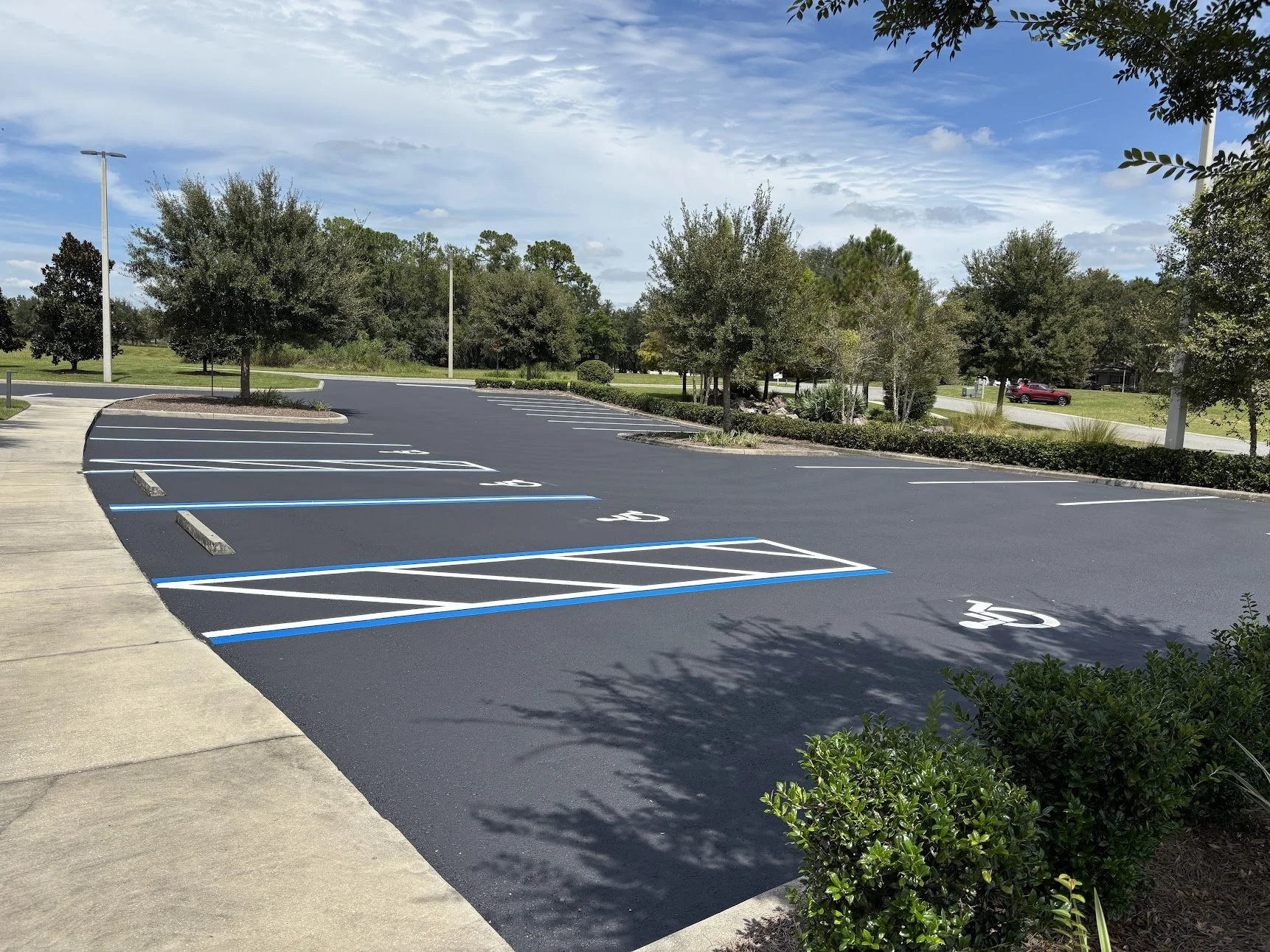 Freshly striped parking lot